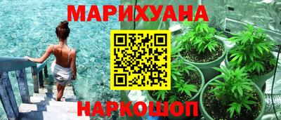 apvp Краснодар