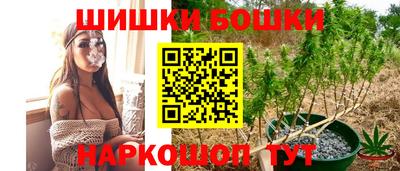 apvp Краснодар