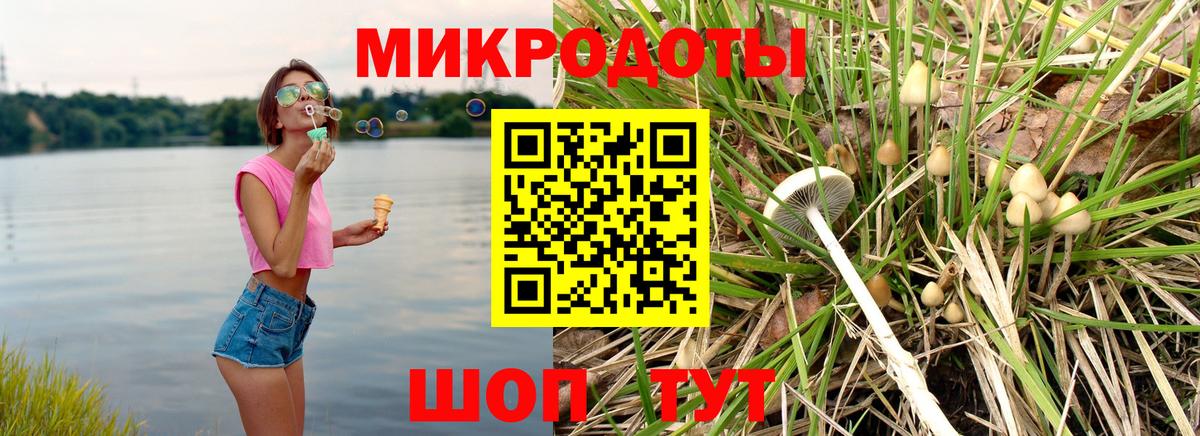 Кандалакша  Галлюциногенные грибы Psilocybine cubensis  Вход с VPN 